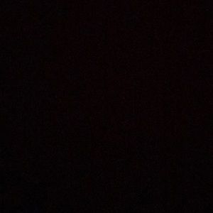 Meet your Posher, Tommy